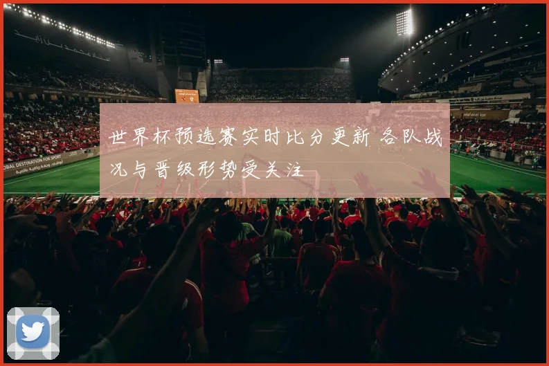 世界杯预选赛实时比分更新 各队战况与晋级形势受关注